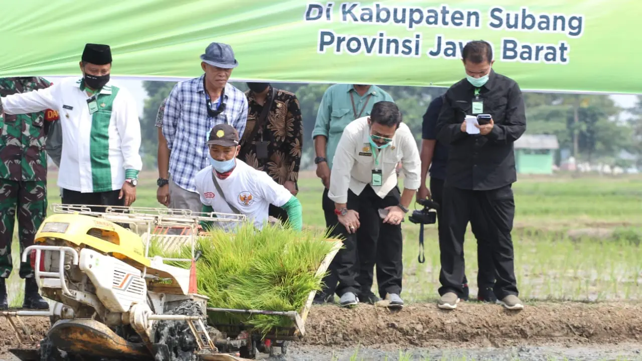 Sinergi dengan Kementan Berjalan Baik, Inilah 10 Besar Provinsi Penghasil Beras
