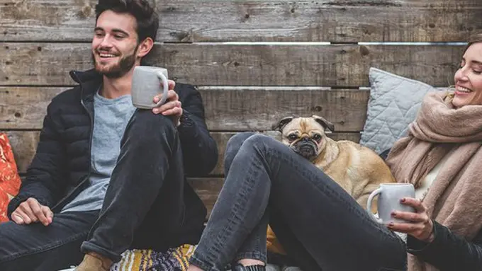 copyright pixabay.com