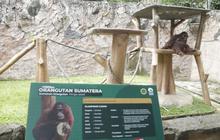 Pemkot Bandung Targetkan Revitalisasi Bandung Zoo Rampung Kurang dari Setahun