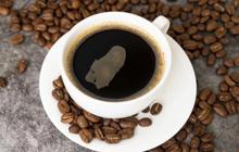 Bandung Penghasil Kopi, tapi Wisatawan Minum Saset? Ini Kata Dedi Mulyadi