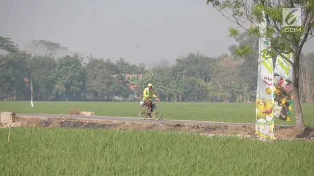 Lahan Baku Sawah