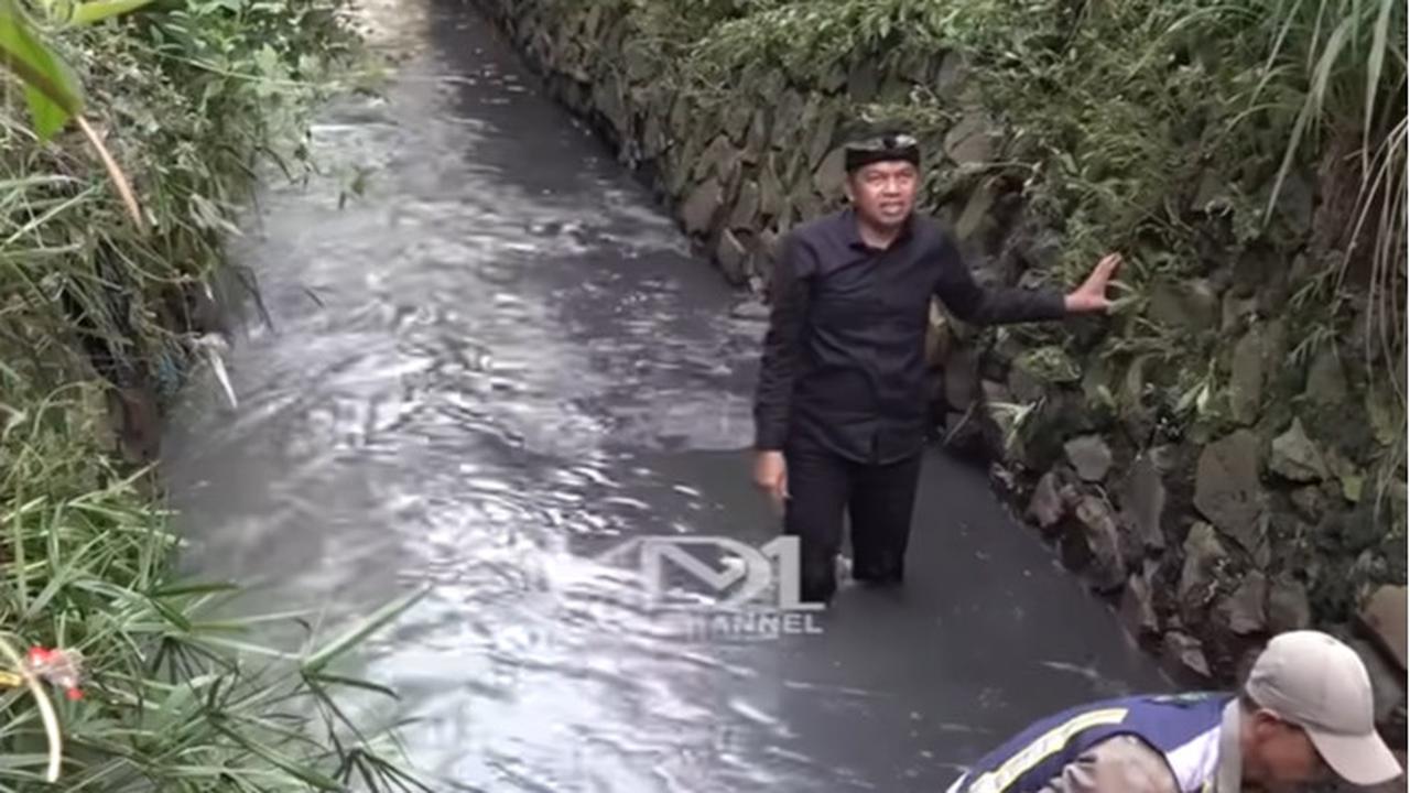 Dedi Mulyadi