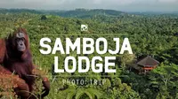 Penginapan ksklusif Samboja Lodge yang ada di tengah hutan Kalimantan. (credit: Nala Rinaldo).