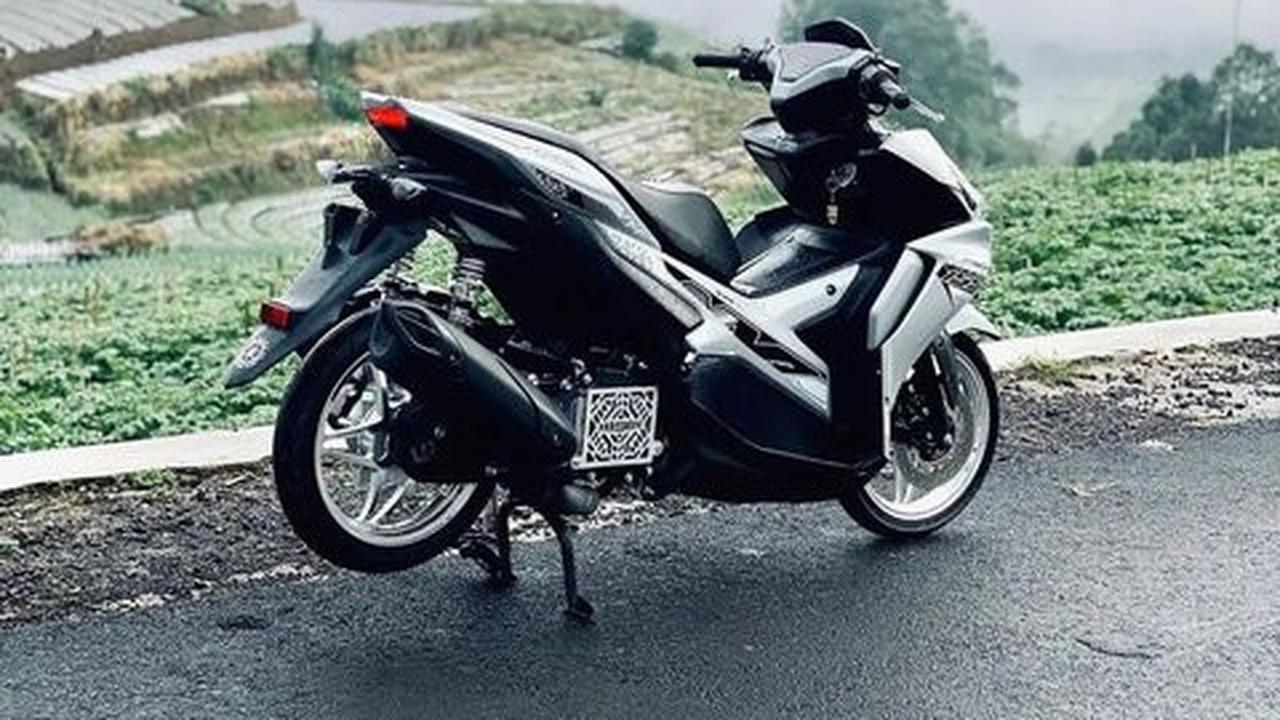 Pelek Model Bintang yang Menawan