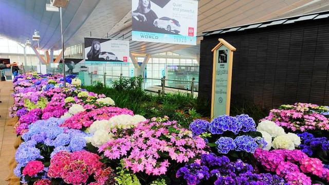 Bikin Kagum, Ini 6 Bandara dengan Interior Paling Megah di Dunia