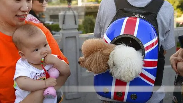 Bayi dengan Anjing.