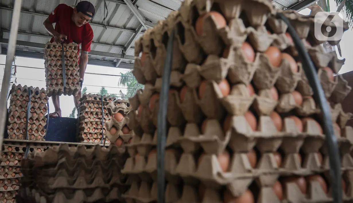 Pekerja memindahkan telur ayam dalam kemasan untuk dikirim menuju pasar di kawasan Karang Tengah, Kota Tangerang, Banten, Selasa (5/12/2023). (Liputan6.com/Angga Yuniar)