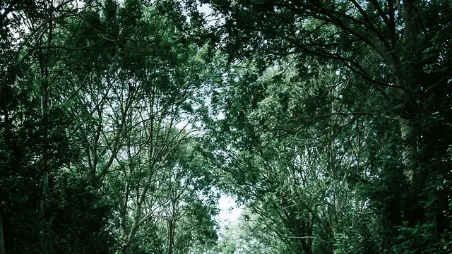 Mengurangi Risiko Berbagai Penyakit