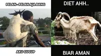 Meme kocak kambing jelang hari raya Idul Adha (Sumber: 1cak.com)