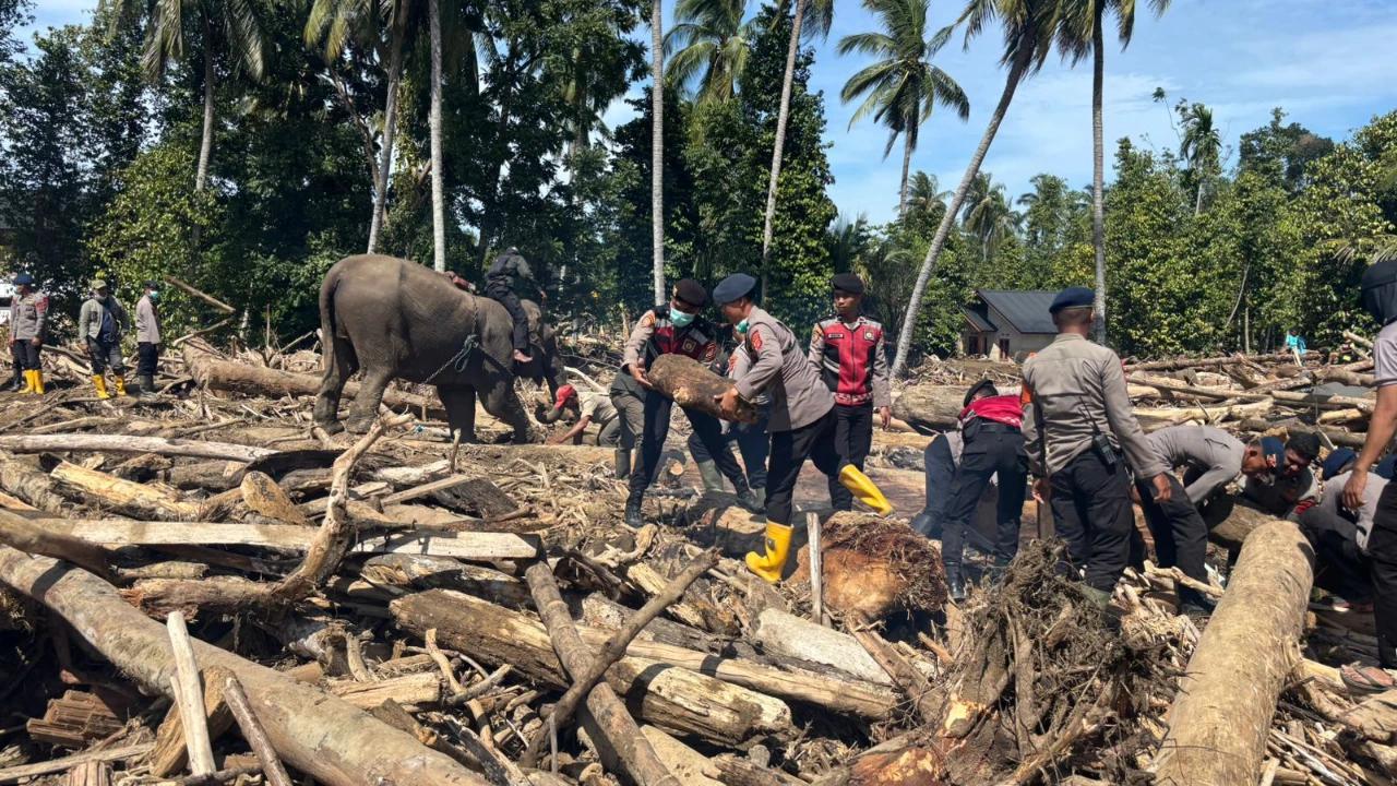Jaksa Agung Lapor Prabowo: 27 Perusahaan Diduga Sebabkan Bencana Sumatra karena Alih Fungsi Lahan