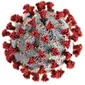 Berupaya untuk mengakhiri pandemi COVID-19, WHO mengeluarkan 6 kebijakan dan berikut poin-poin yang harus diperhatikan oleh pemerintah Indonesia. (pexels.com/CDC)