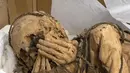 Arkeolog Pieter Van Dalen Luna menunjukkan mumi berusia antara 800 hingga 1.200 tahun yang digali awal bulan ini di situs dekat ibu kota Lima, Peru, Selasa (30/11/2021). Saat ditemukan, mumi pemuda berusia 25-30 tahun itu dalam kondisi terikat dengan tangan menutupi wajahnya. (Cris BOURONCLE/AFP)