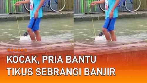 VIDEO: Kocak, Pria Bantu Tikus Sebrangi Banjir di Kebumen