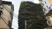 Bangunan diselimuti tanaman menjalar hingga menutupi seluruh bangunan lima lantai (Dok.Beta Dantri.com)