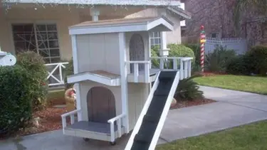 Inspirasi Rumah Anjing Epik Nan Unik Untuk Anjing Kesayangan Kamu Fashion Fimela Com