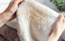 Metode Efektif Menghapus Noda Membandel di Lap Dapur, Simpel Menggunakan Bahan yang Mudah Didapat
