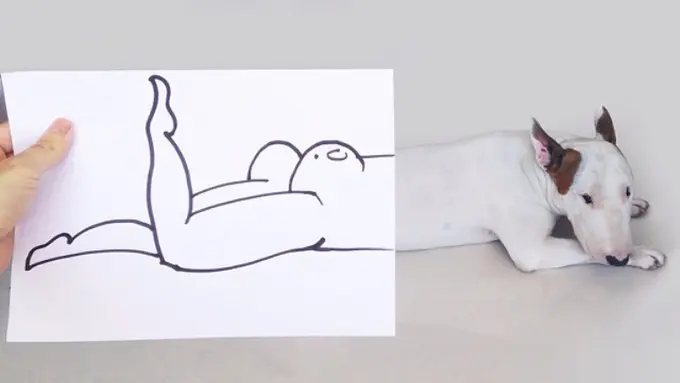 21 Karya Ilustrasi Lucu Hasil Duet Seniman Brasil dan Anjing 