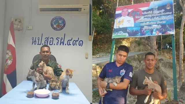 Bikin Haru, Pria Ini Selamatkan 4 Ekor Kucing dari Kapal yang Hampir Tenggelam. (Sumber: Facebook/RoyalThaiNavyFanpage)
