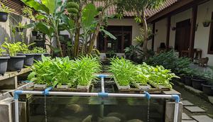 Model Kebun Sayur Mini Tanpa Tanah (Sumber: gemini.com)