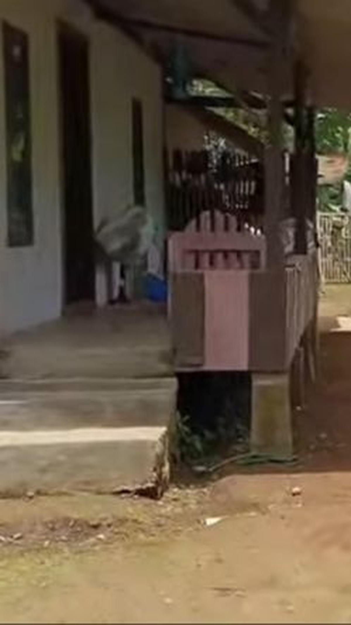 Potret rumah kayu di tengah hutan milik seorang purnawirawan TNI AL.<br>