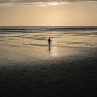 Memperingati Hari Gizi Nasional Ke-61, SOS Bali dan Campaign.com mengajak masyarakat 
Indonesia peduli krisis pangan di Bali. (Photo by Arya Praditya on Unsplash)