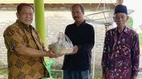 Alokasi bantuan benih bawang merah dari Direktorat Jenderal Hortikultura Kementan.
