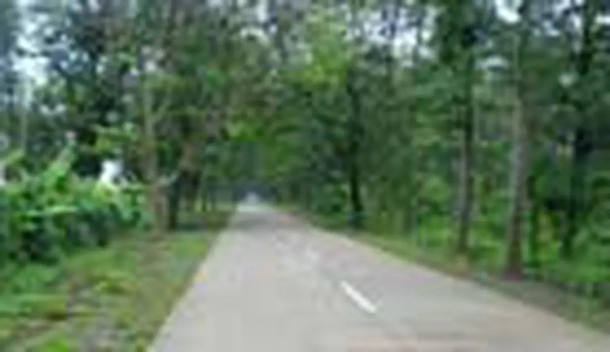 liputan6
