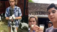 6 Momen Liburan Al dan Dul Jaelani di Magelang, Perah Susu Kambing Sendiri