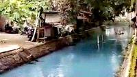 Sungai di Desa Sambiroto, Mojokerto berubah warna jadi biru (Liputan6.com/Istimewa)