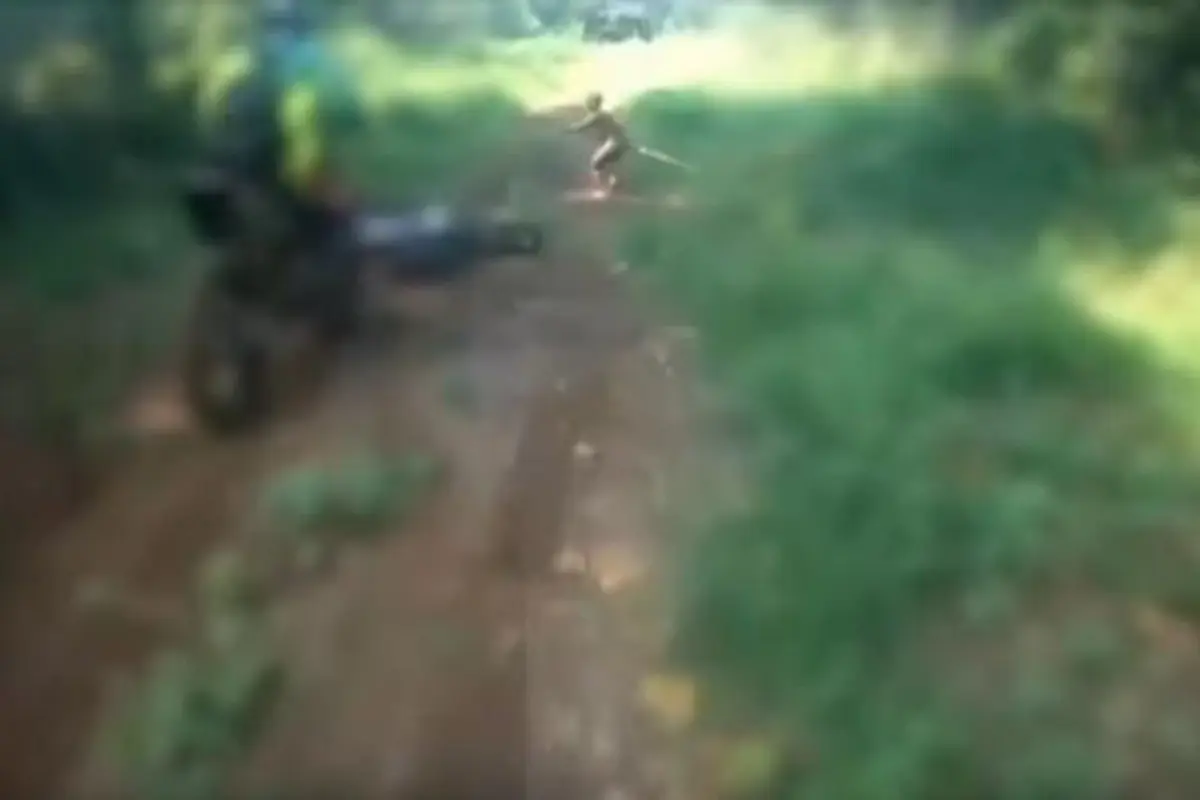 Video Diduga Suku Mante di Aceh Sudah Ditonton Enam Juta Kali