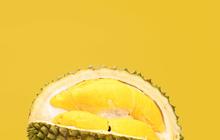 Resep Olahan Durian Jadi Dessert Manis yang Menggugah Selera
