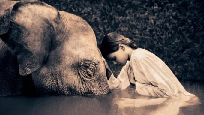 Ilustrasi (c) argcompo.com