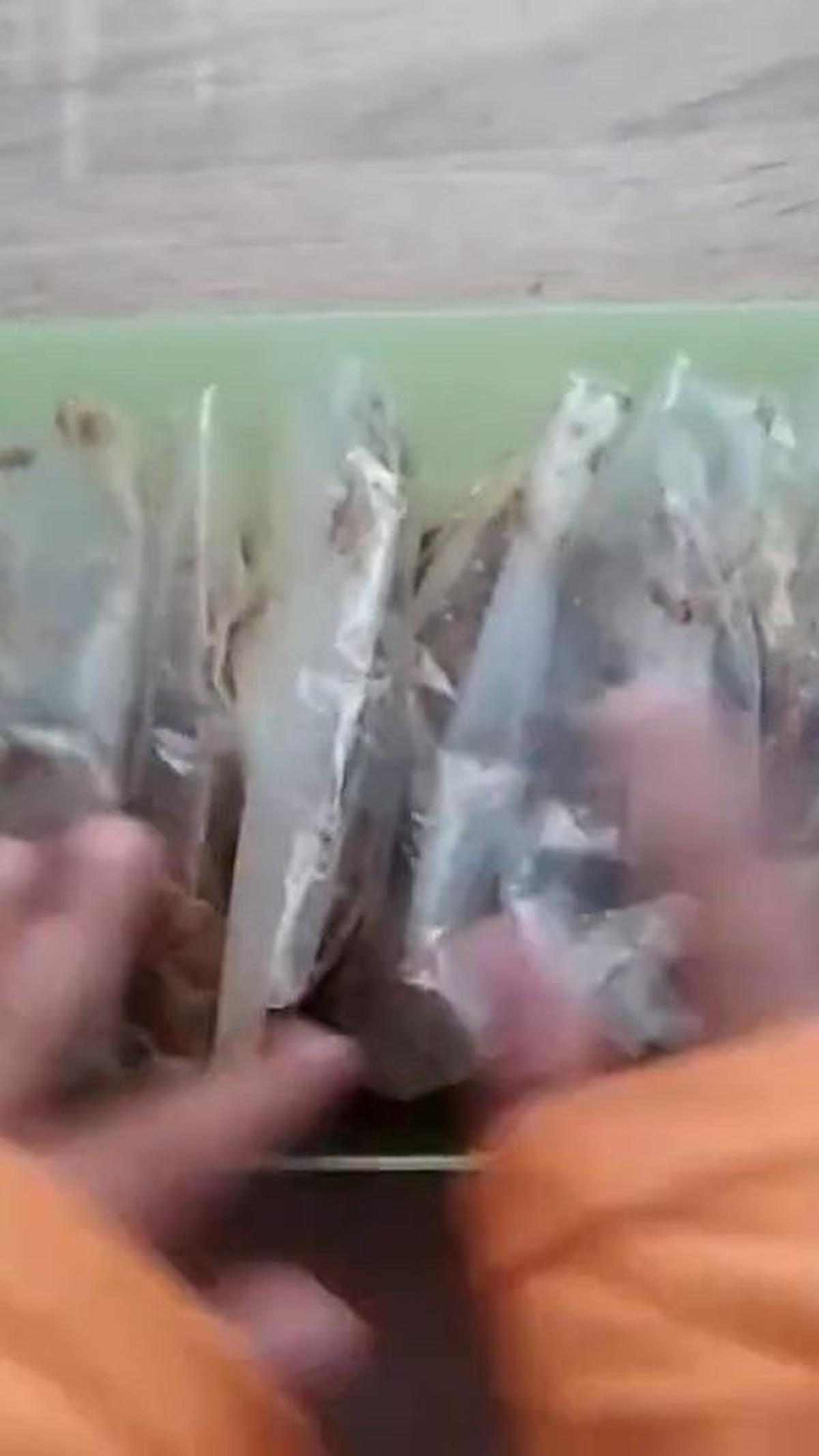 Pisahkan Berdasarkan Ukuran Plastik