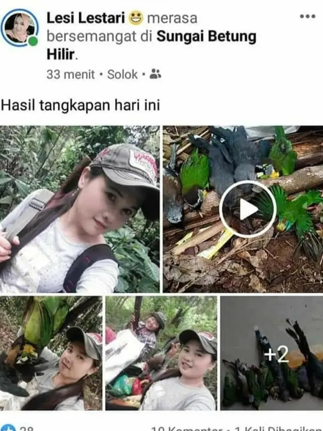 Pamer Burung Langka Hasil Buruan di Gunung Kerinci, 2 Perempuan Kini Dicari Petugas