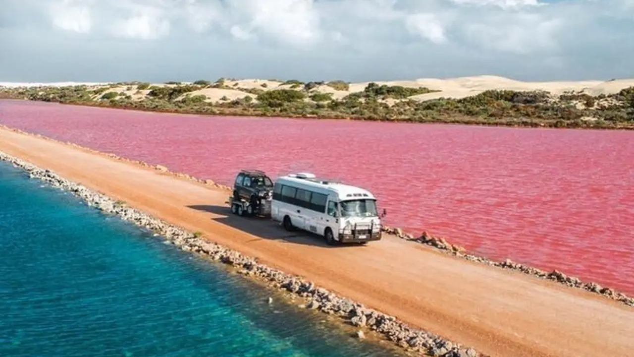 Danau MacDonell di Australia