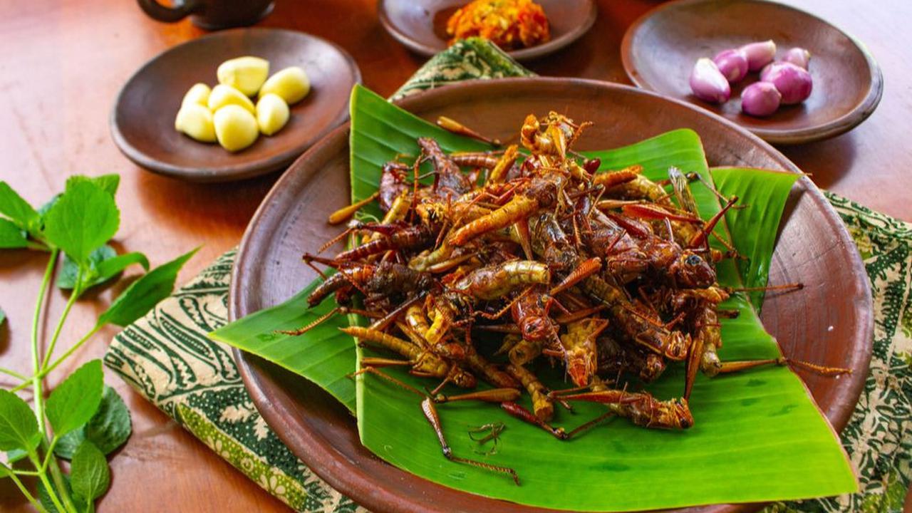 2. Belalang Goreng