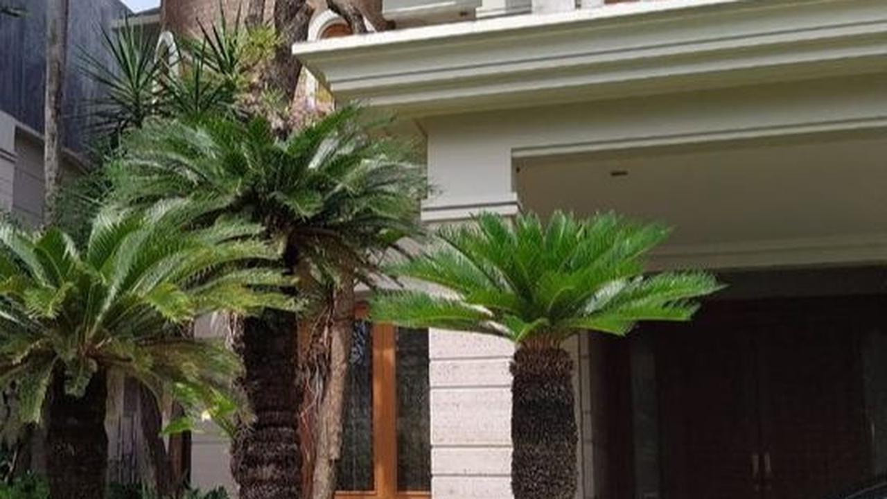 Taman Rindang Depan Rumah