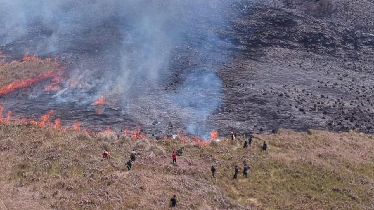 Kronologi Bukit Teletubbies Bromo Terbakar Diduga karena Flare Foto Prewedding, Berujung Pelaku Ditangkap