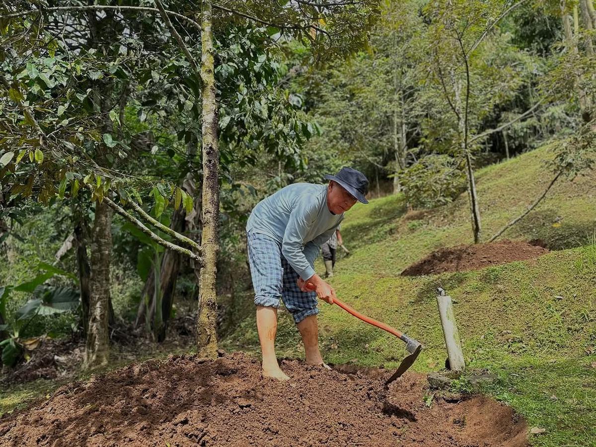 Jenderal Bintang Tiga Polisi Lagi Asyik Nyangkul di Kebun