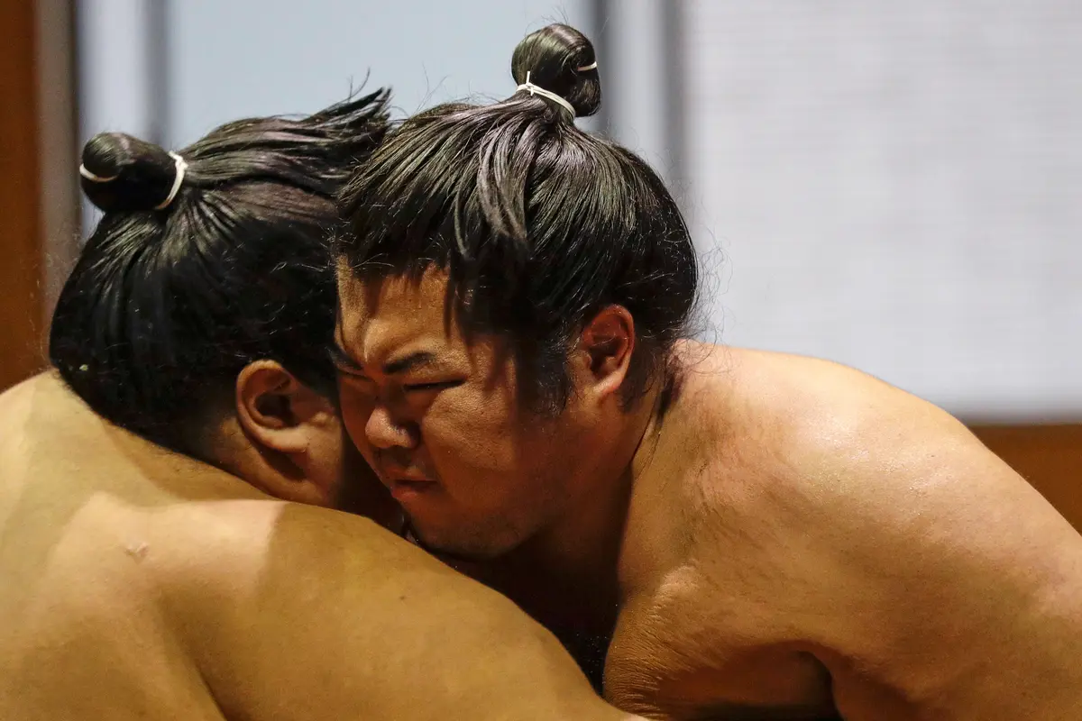 Melihat Latihan Para Pegulat Sumo di Jepang