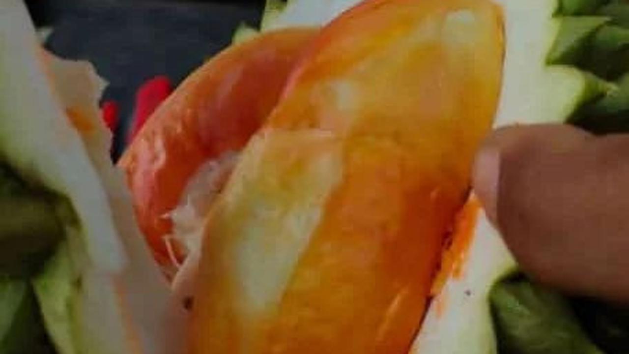 Mencicipi Durian Merah Banyuwangi, Cita Rasanya Unik Bikin Ketagihan