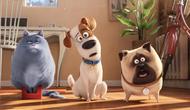 The best animated animal adventure movies to watch with your family. (Photo: The Secret Life of Pets (2016) - Universal Pictures)
