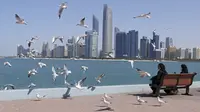 Burung camar terbang melintasi corniche (promenade tepi laut) Abu Dhabi di ibu kota Emirat pada 24 Januari 2022. (Dok: Karim SAHIB/AFP)