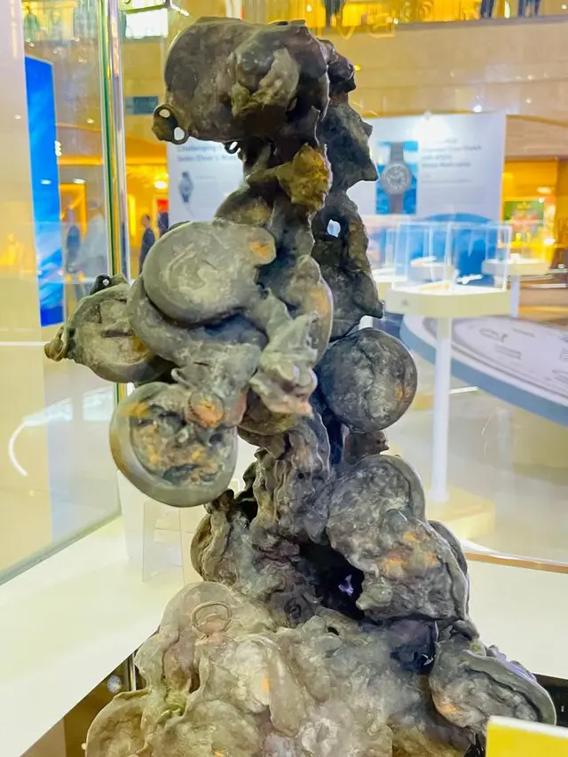 Rayakan 100 Tahun, Seiko Pamerkan Koleksi Jam Tangan Bersejarah dari Museum Ginza