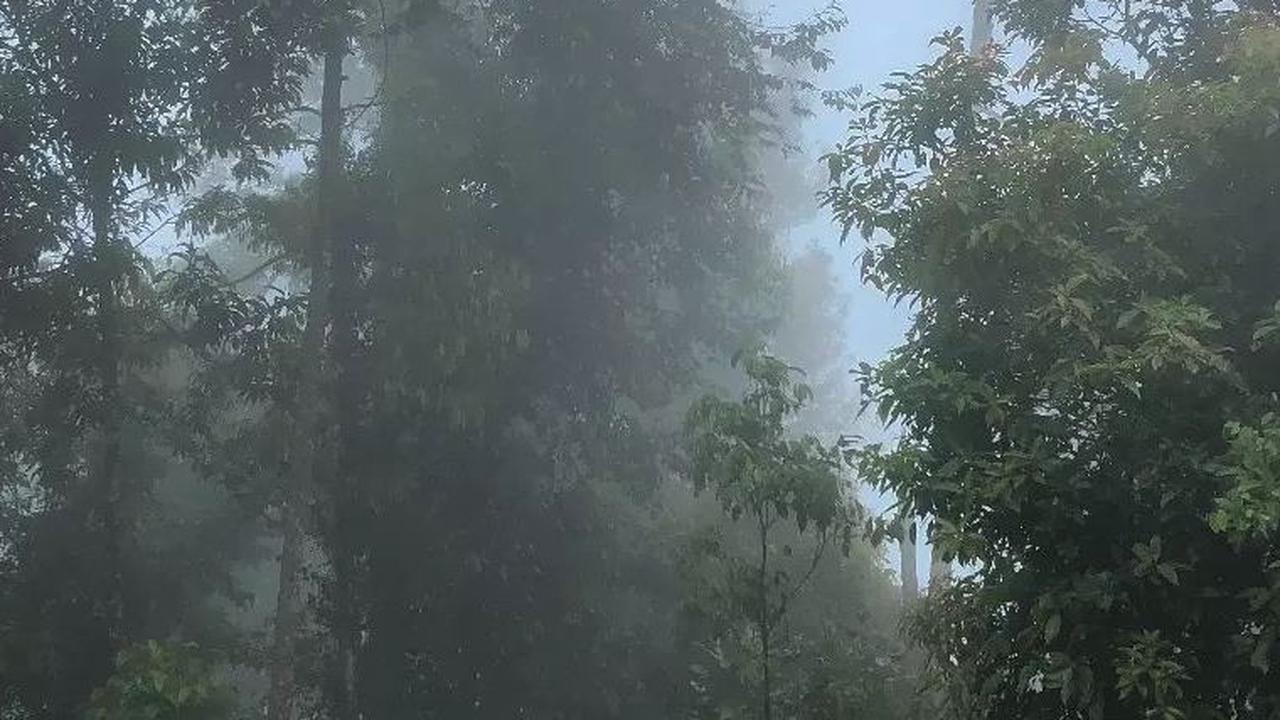 Medannya Sulit Ditaklukkan, Ini Fakta Menarik Gunung Bandahara di Provinsi Aceh
