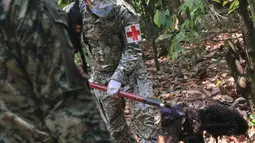 Puluhan monyet howler ditemukan mati di negara bagian pesisir Teluk tersebut, sementara yang lainnya diselamatkan oleh warga yang kemudian membawanya ke dokter hewan setempat. (AP Photo/Luis Sanchez)