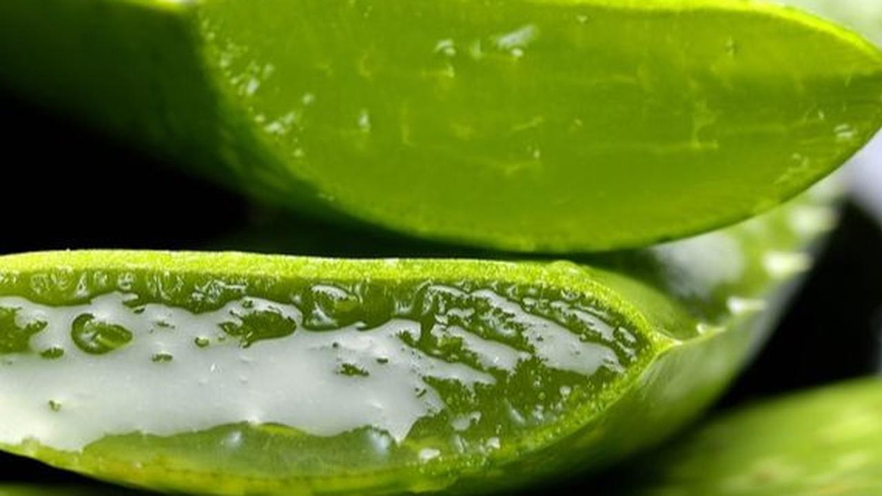 Mengurangi Bintik Hitam dan Stretch Mark