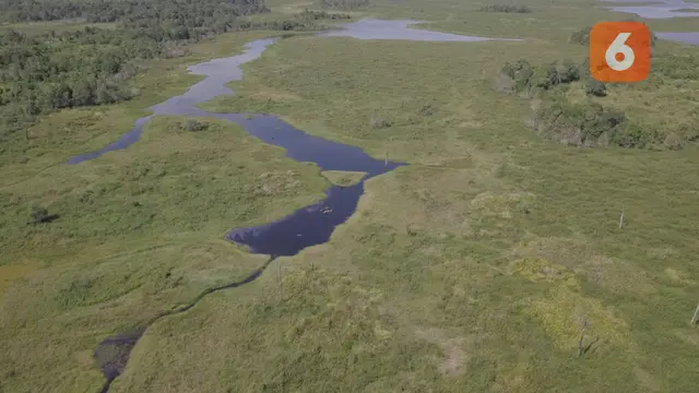 Danau Loa Putih