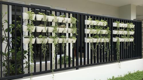 Desain Kebun Mini Minimalis dengan Tanaman Kaktus Merambat