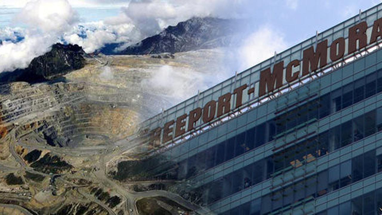 Pemerintah didesak bentuk BUMN khusus kelola divestasi Freeport